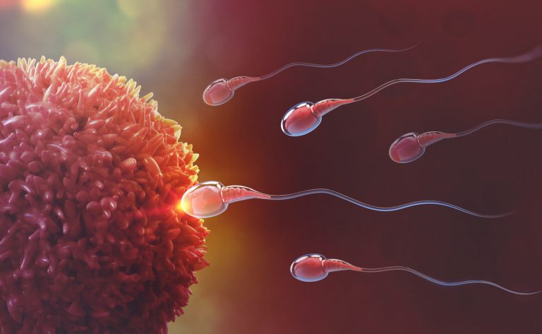 Fertility - The Ayurvedic Clinic